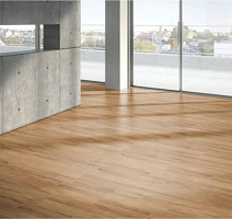 Parador Basic Plus 400 1426505 Яблоня Янтарная фото 2 | FLOORDEALER